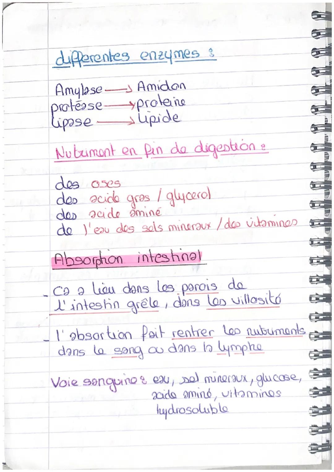 Sqc2 Fonction de nutrition

L'anatomie de l'appareil digestif

Un tube digestif de 6 à 8 m
C'est des glandes annexes qui
deservent les sucs 