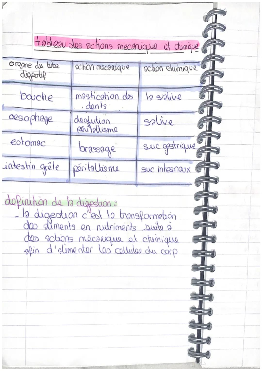 Sqc2 Fonction de nutrition

L'anatomie de l'appareil digestif

Un tube digestif de 6 à 8 m
C'est des glandes annexes qui
deservent les sucs 