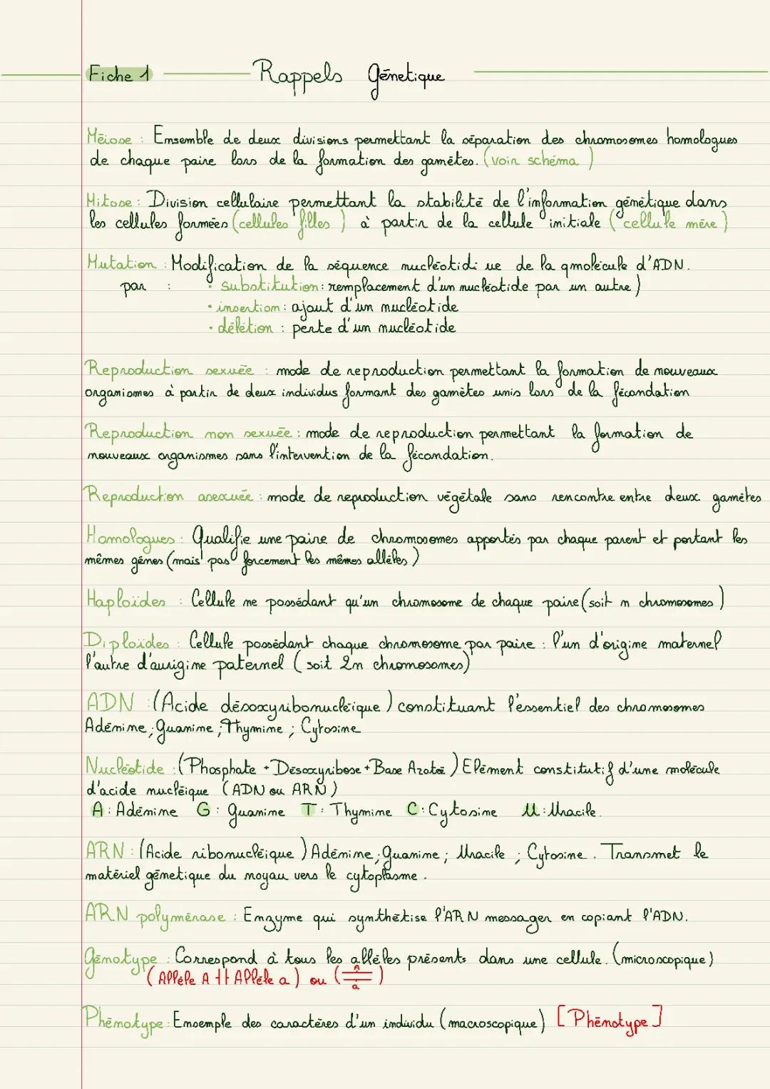 Cours Génétique SVT Terminale - Mitose, Méiose et Mutations