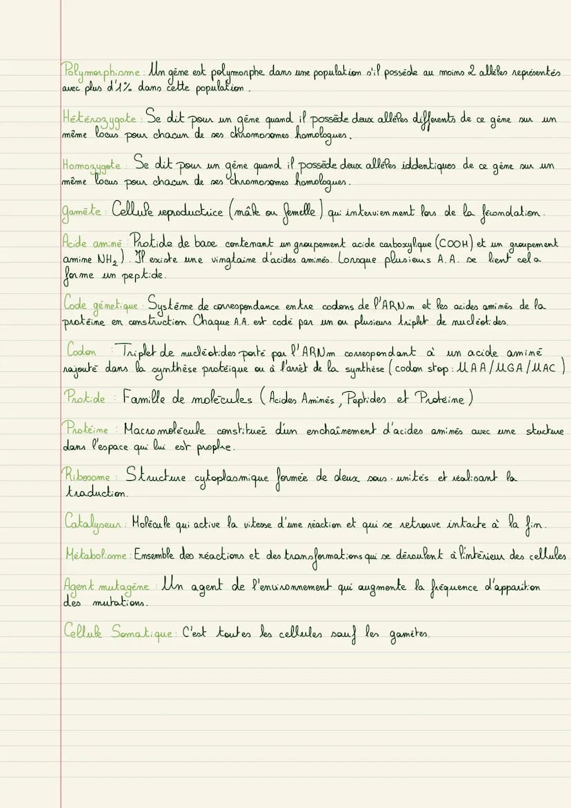 -Rappels genetique
Meiose Ensemble de deux divisions permettant la séparation des chromosomes.
de chaque paire lors de la formation des gamè