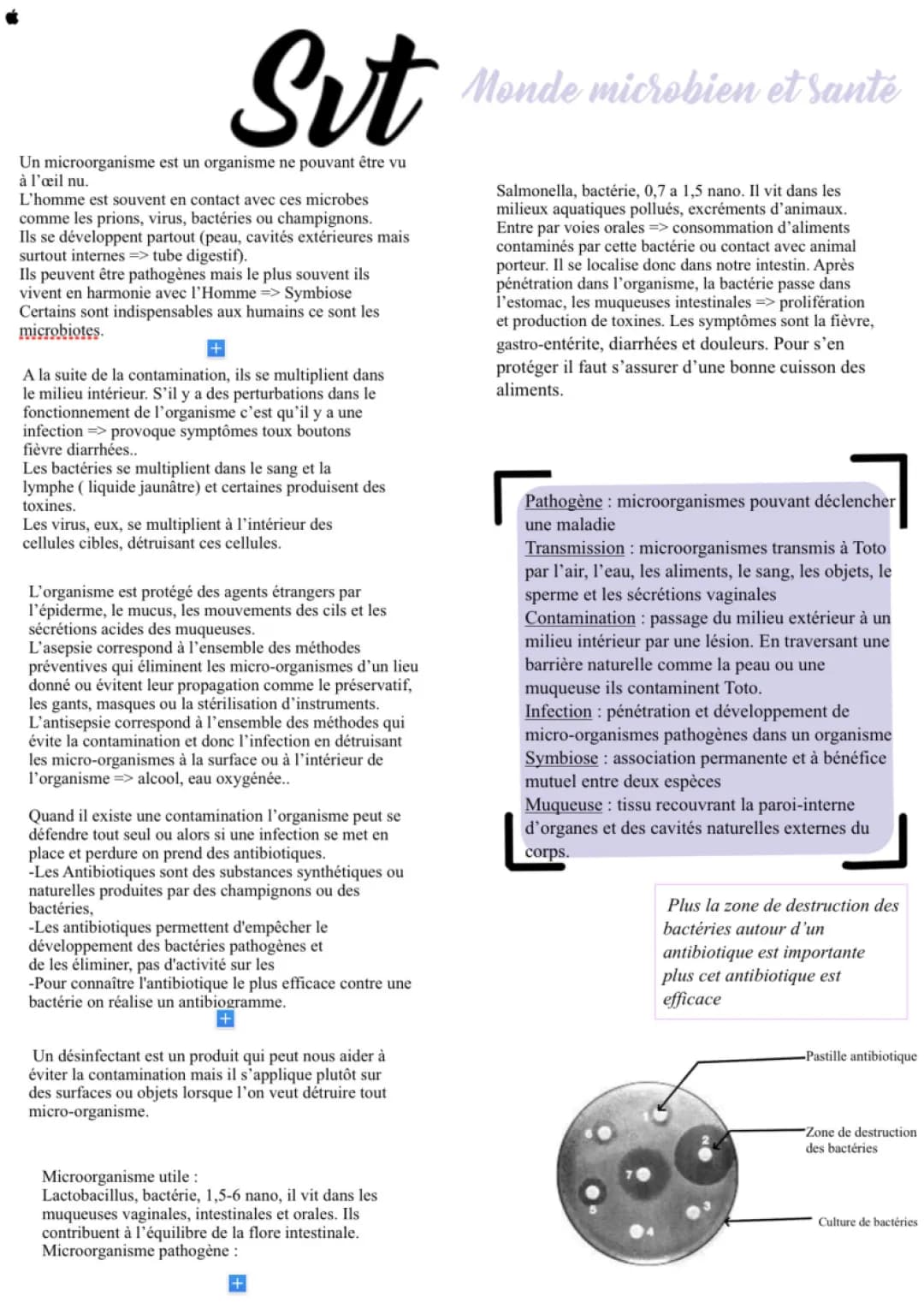 SvT microorganismes