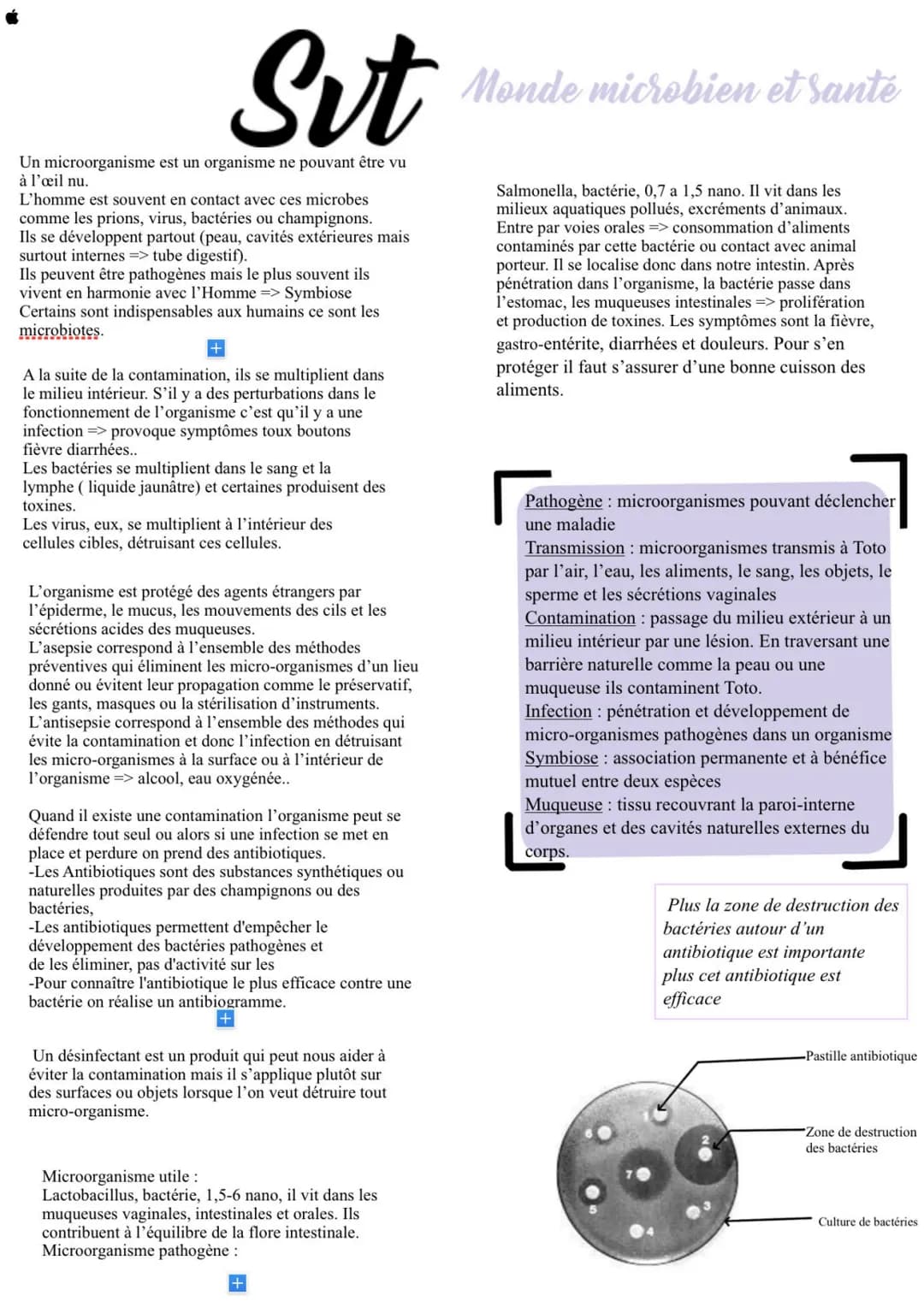 Sut
Un microorganisme est un organisme ne pouvant être vu
à l'œil nu.
L'homme est souvent en contact avec ces microbes
comme les prions, vir