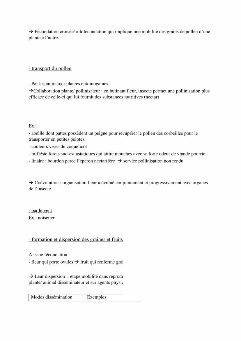 Reproduction de la plante: entre vie fixée et mobilité
I) Reproduction asexuée : une stratégie pour occuper l'espace
→ RA (= multiplication 