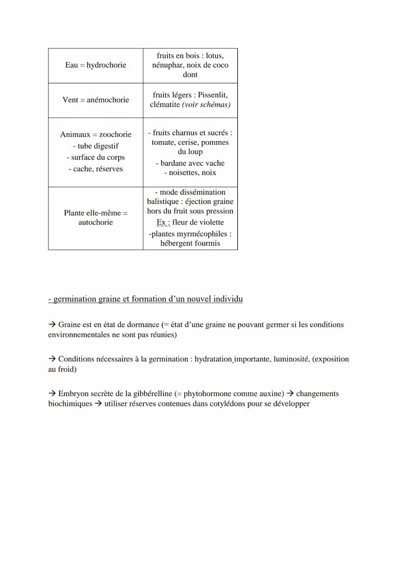 Reproduction de la plante: entre vie fixée et mobilité
I) Reproduction asexuée : une stratégie pour occuper l'espace
→ RA (= multiplication 
