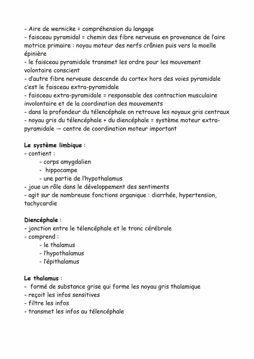 Le tissu nerveux = cellule de forme, fonction différente et spéciale
Le neurone :
- capable de produire des signaux électrique et d'en recev