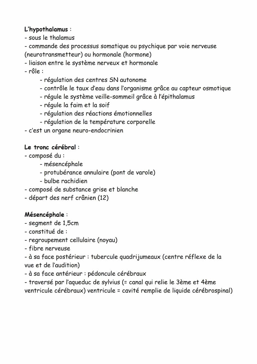 Le tissu nerveux = cellule de forme, fonction différente et spéciale
Le neurone :
- capable de produire des signaux électrique et d'en recev