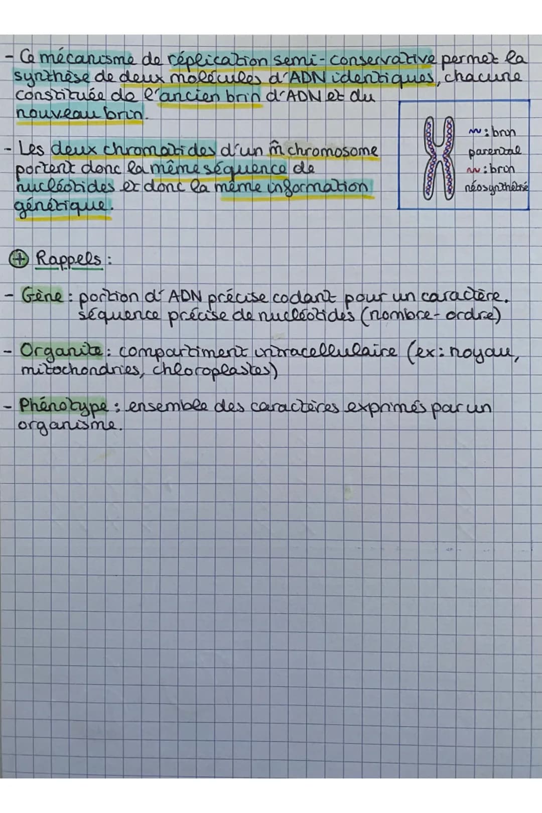 Chap 1: Les divisions cellulaires des eucaryotes
• Cellules eucaryotes: elles ont 1 noyau contenant l'ADN
organisé en 46 chromosomes
S.V.T
C