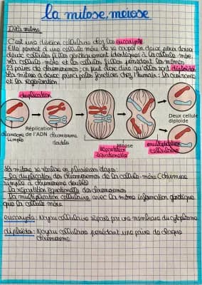 Know La mitose et la méiose  thumbnail