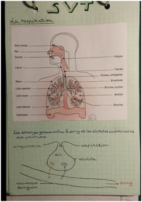 Know La respiration thumbnail