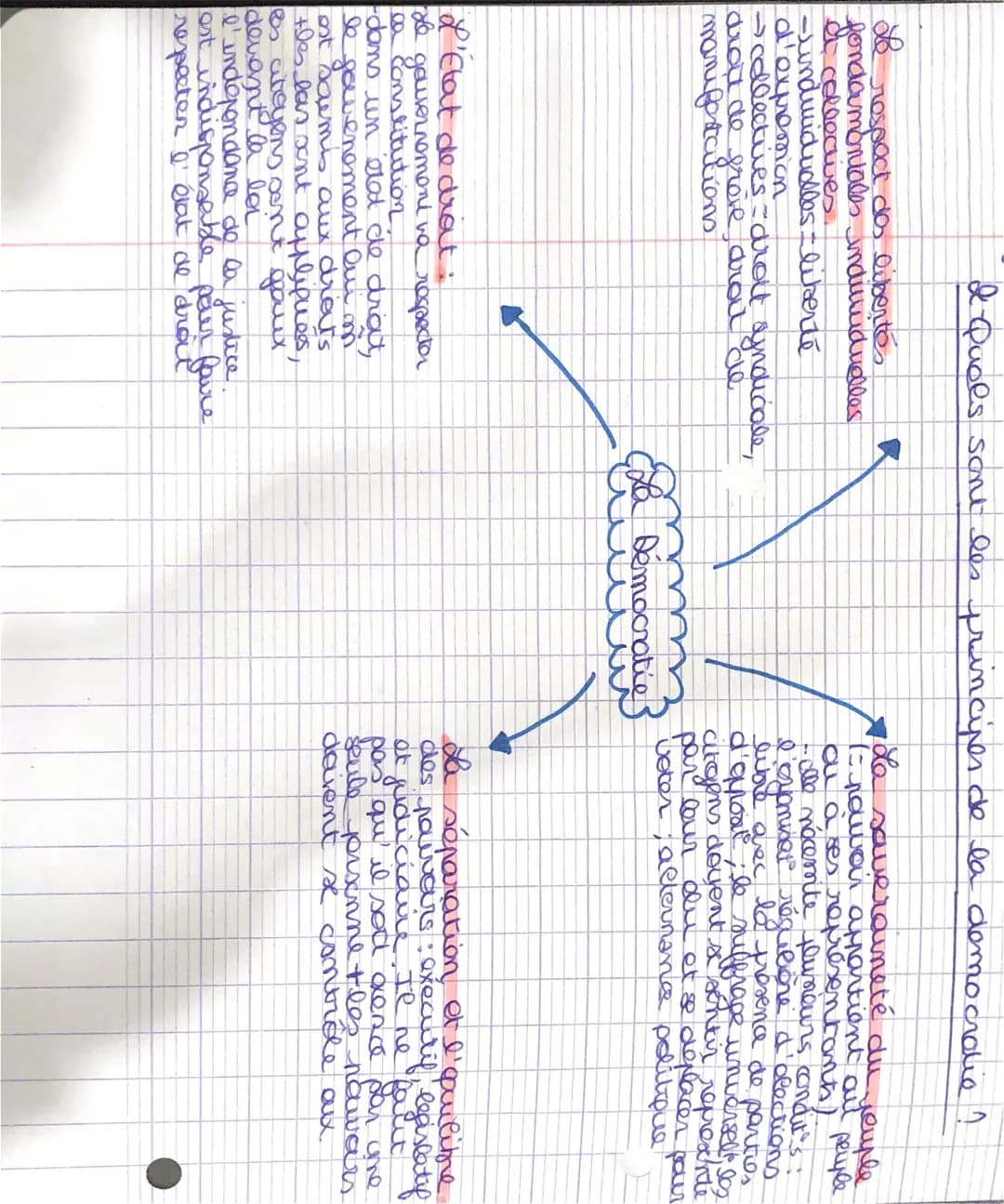 & Quels sont les principes de la democratie ?
respect des libertés
fondamentales individuelles
It collectives.
-undwiduales liberté
d'expres