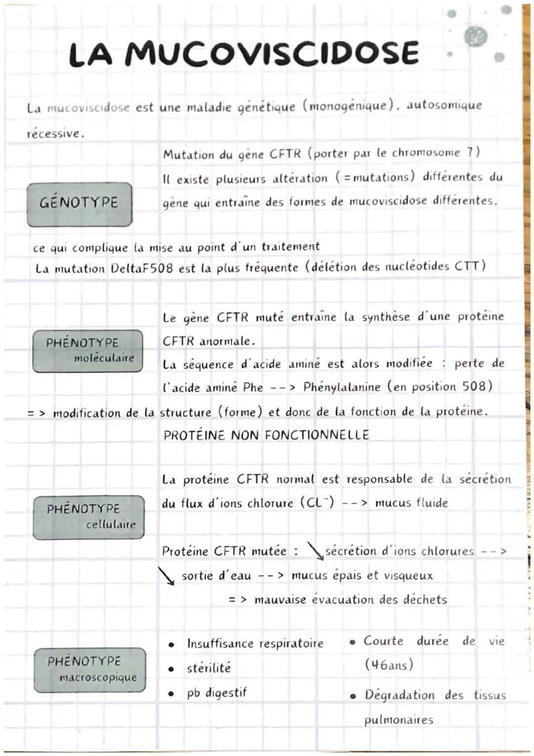 LA MUCOVISCIDOSE
La mucoviscidose est une maladie génétique (monogénique), autosomique
récessive.
GENOTYPE
ce qui complique la mise au point