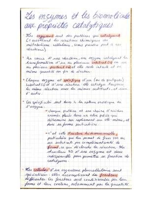 Know Les enzymes et les biomolécules aux propriétés catalytiques thumbnail