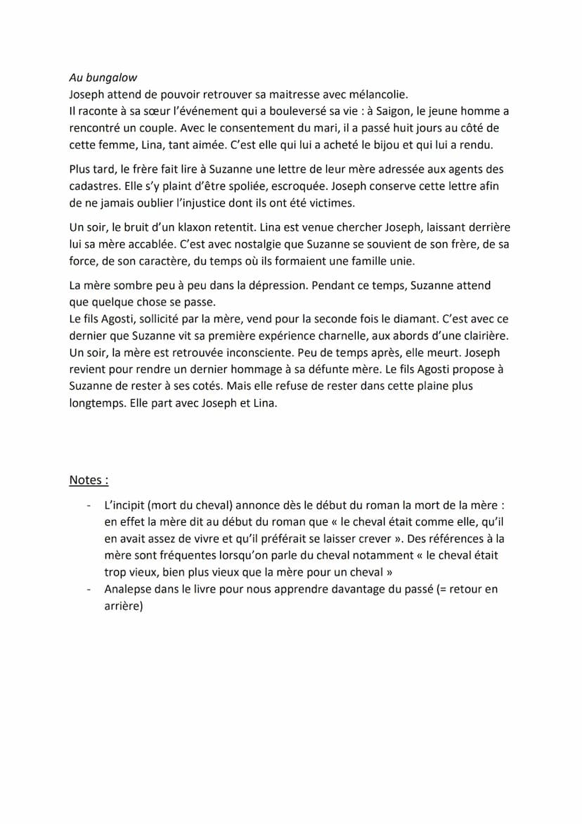 UN BARRAGE CONTRE LE PACIFIQUE
MARGUERITE DURAS
Résumé :
Dans le sud de l'Indochine française, en 1931, une veuve vit avec ses deux enfants,