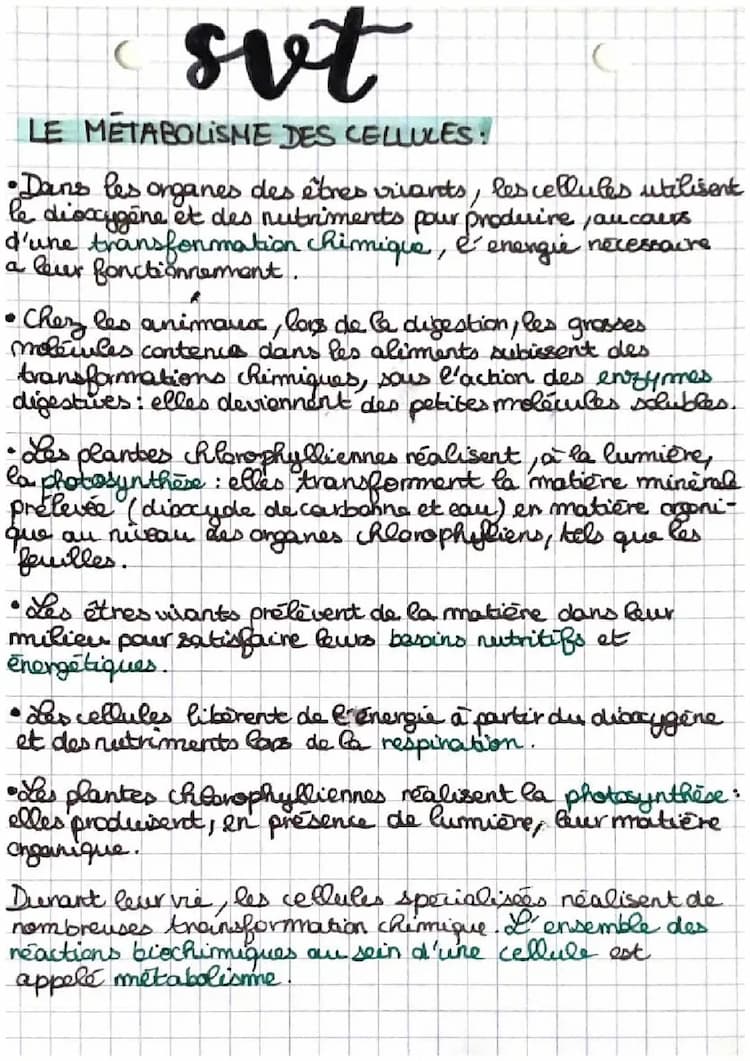Know le métabolisme des cellules  thumbnail