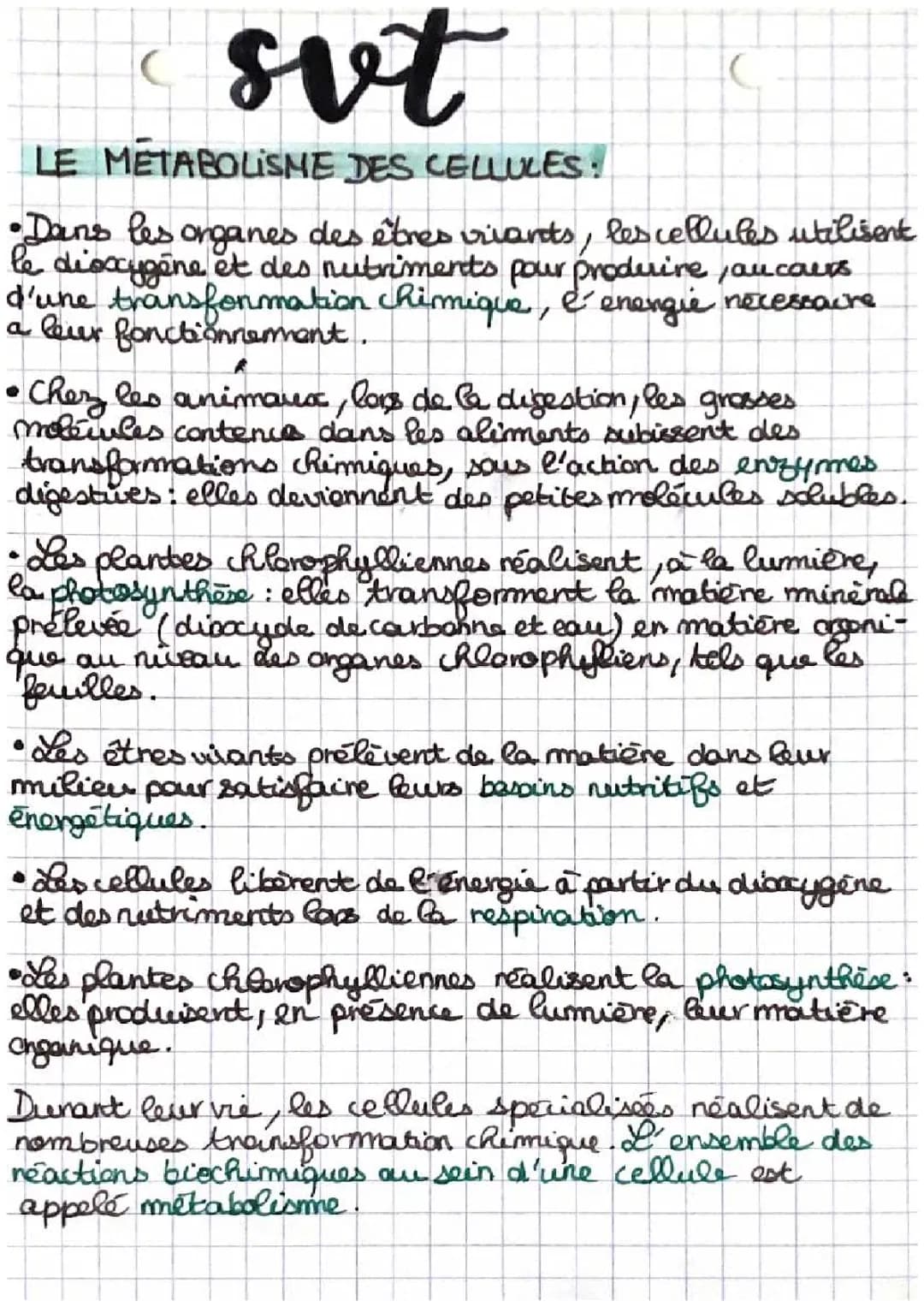 le métabolisme des cellules 