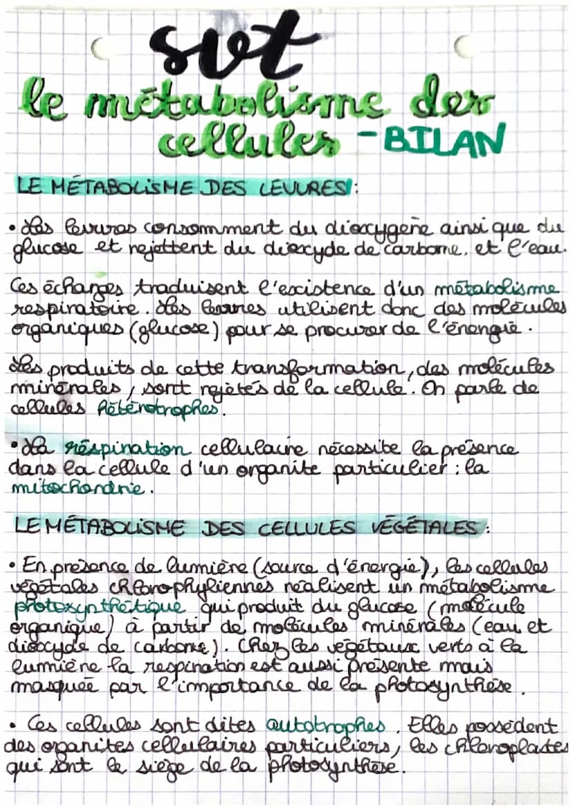 svt
LE METABOLISME DES CELLULES:
• Dans les organes des êtres riants, les cellules utilisent
le dioxygène et des nutriments pour produire, a