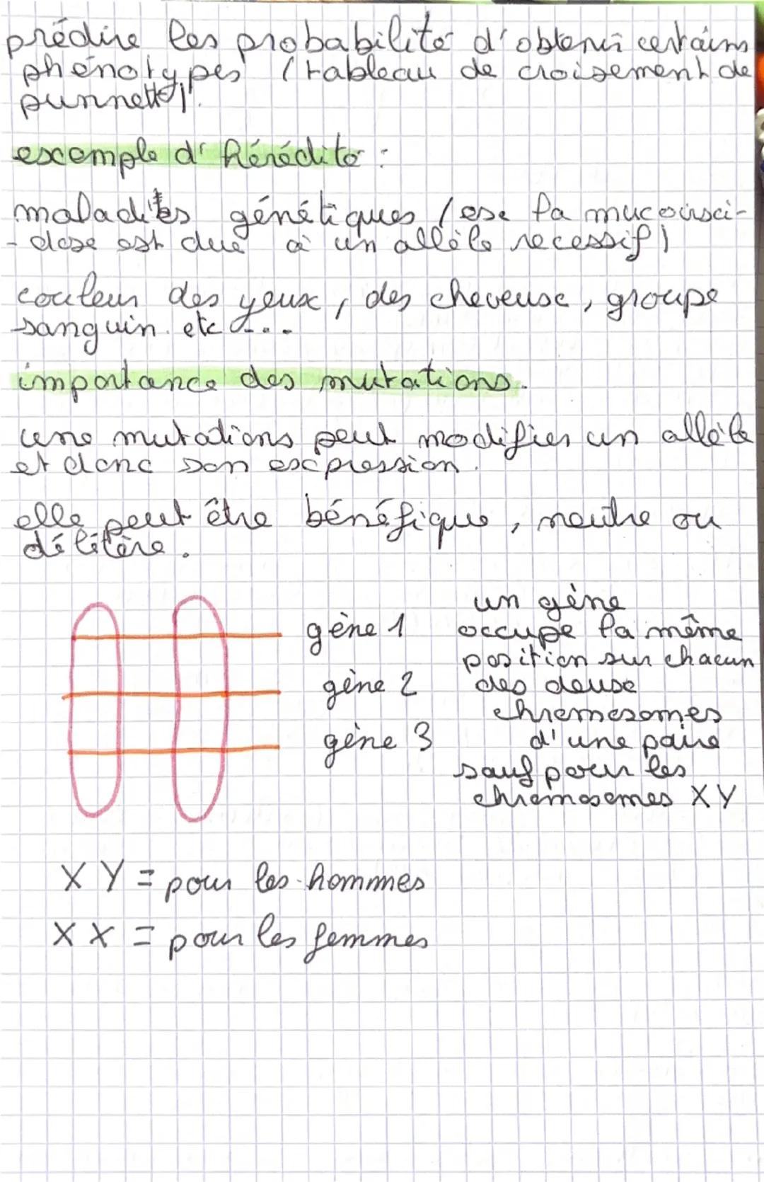 # SV

Les allèles

- définition des allèles :

-un
allé le est une version d'un gène situe
un chromosome
d'en
- les alleles a' cum gene peuv