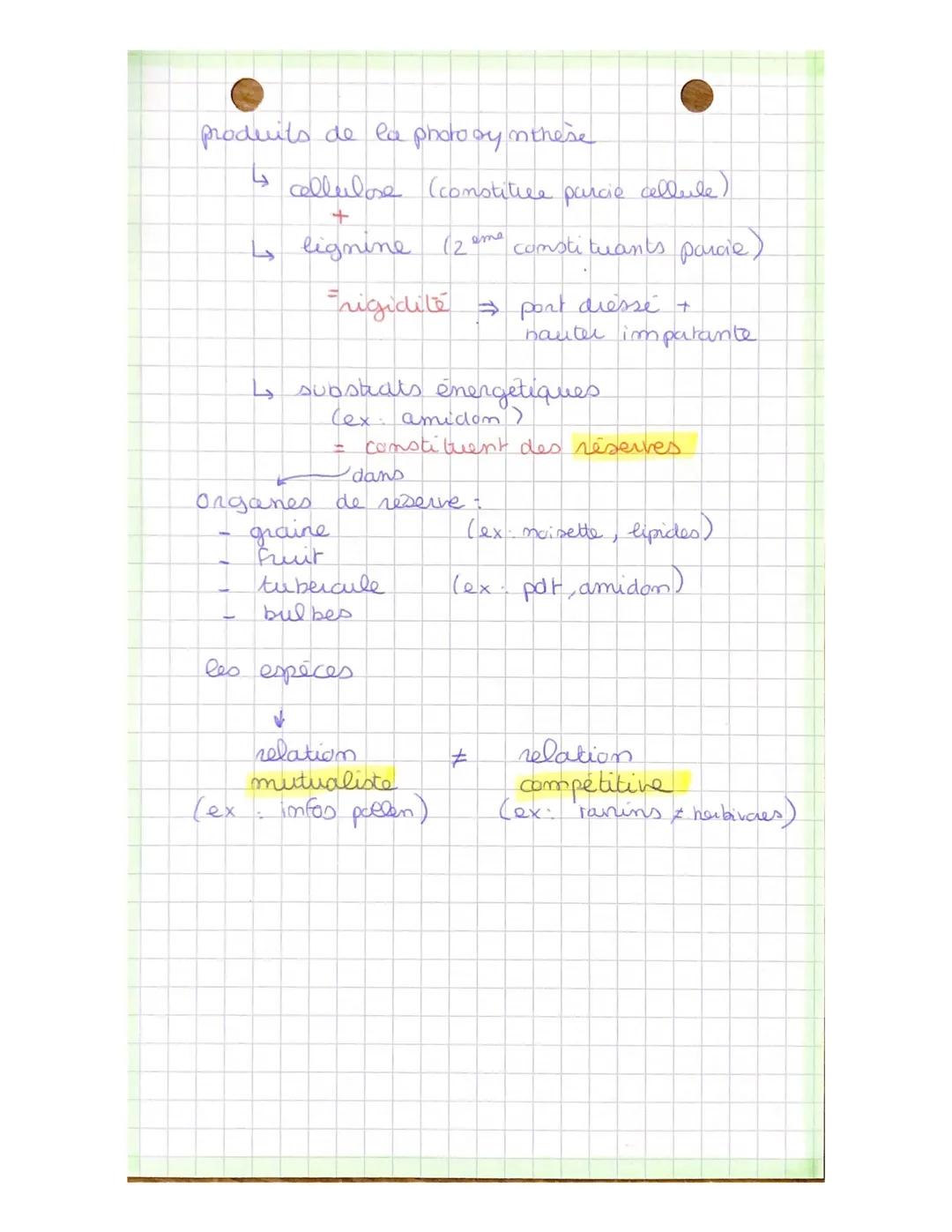 La plante, mode orice de matiere
organique
SUT
De la plante sauvage
la plante domestiquée
Pa photosynthese
Formar mo
600₂ + 6H₂0 → C6H₁₂O6 +
