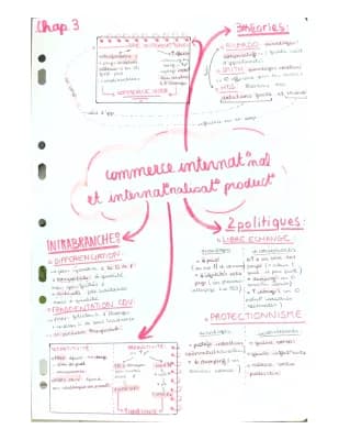 Know Le commerce international et l’internationalisation de la production thumbnail