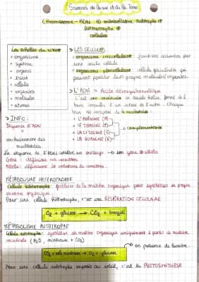 Know Chapitre 1 : Cellules spécialisées, métabolisme et ADN thumbnail