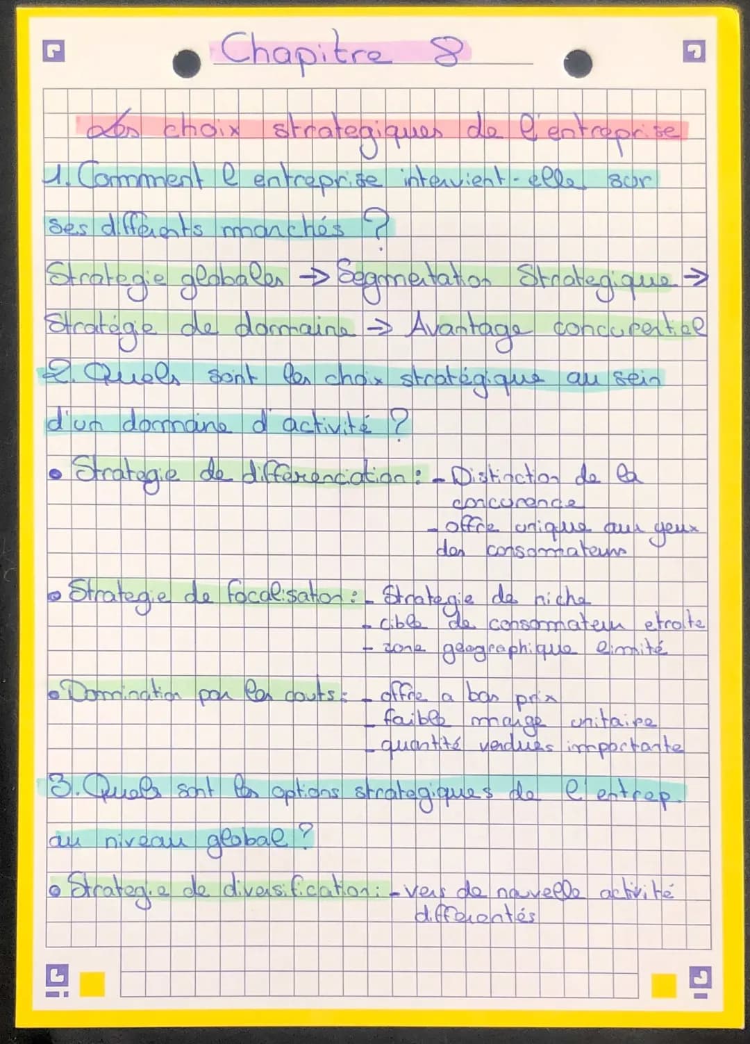 Stratégies et Segmentation dans les Entreprises STMG - Exemples et PDF
