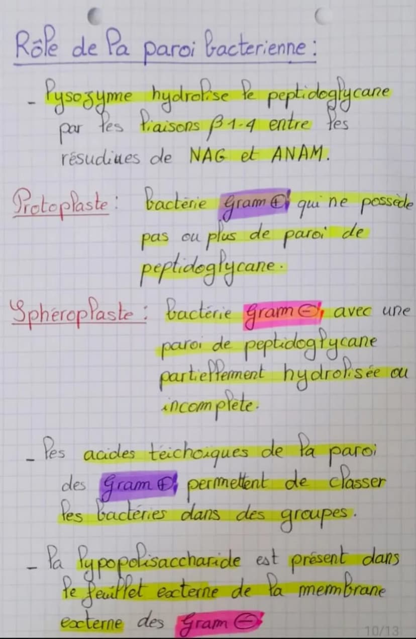 (Biotechnologie
Structure des microoganismes
Microorganisme: organisme invisible a Pool
Palisa
sexuel
Palis
communs
éléments
permanents
nu (