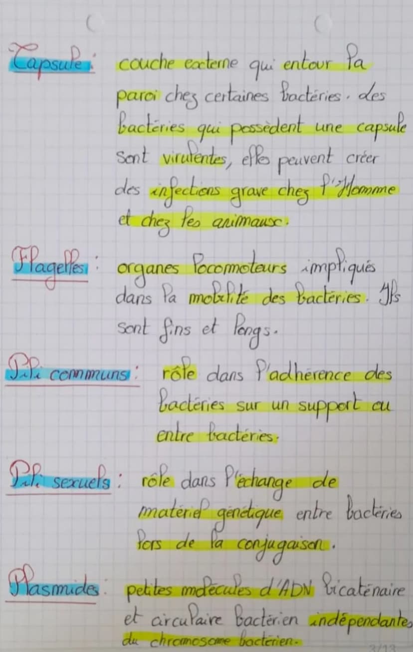 (Biotechnologie
Structure des microoganismes
Microorganisme: organisme invisible a Pool
Palisa
sexuel
Palis
communs
éléments
permanents
nu (