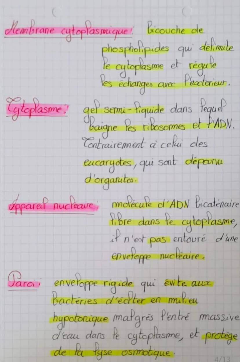 (Biotechnologie
Structure des microoganismes
Microorganisme: organisme invisible a Pool
Palisa
sexuel
Palis
communs
éléments
permanents
nu (