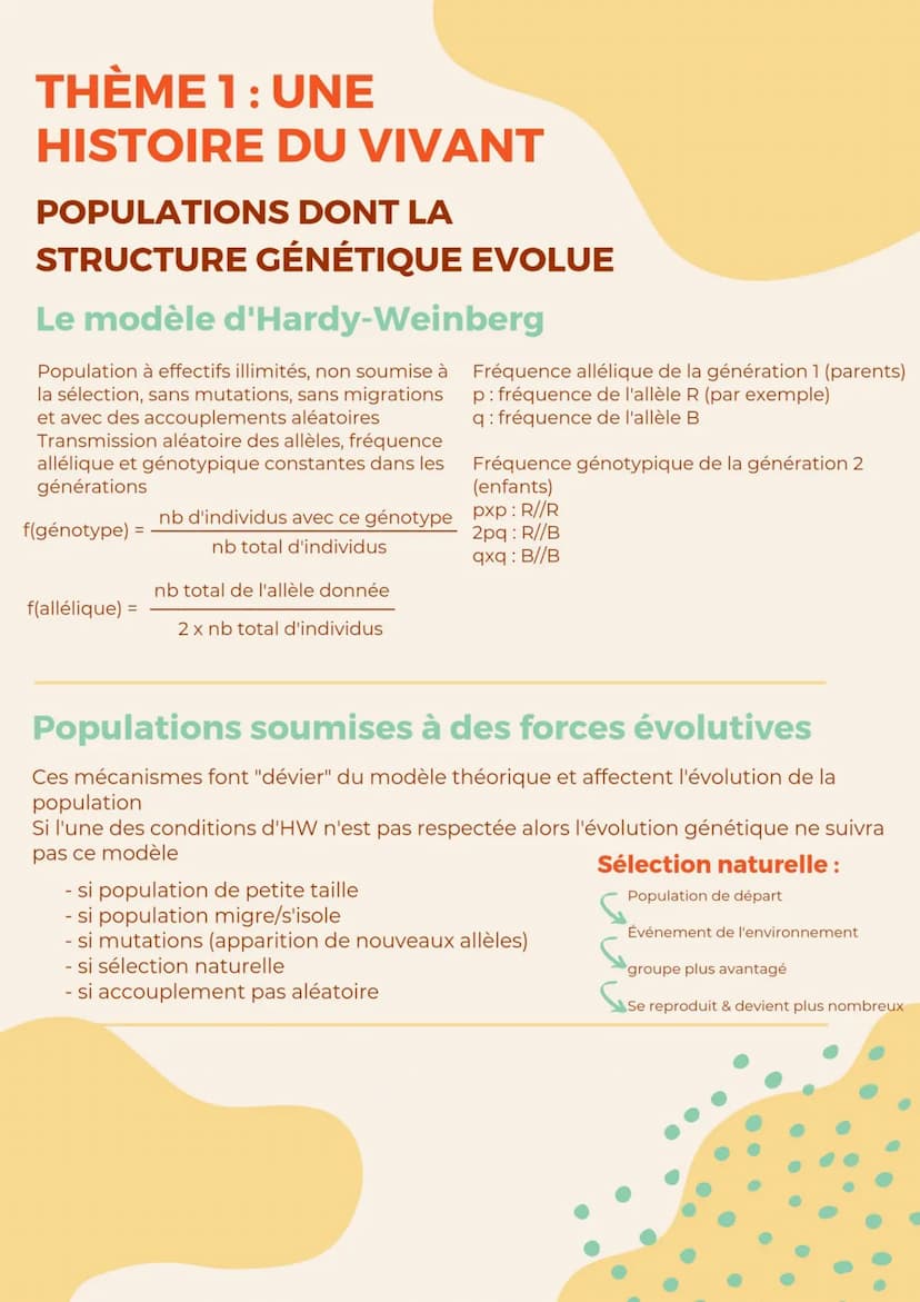 THÈME 1 : UNE
HISTOIRE
ESTIMATION
TERRESTRE
DU VIVANT
DE LA BIODIVERSITÉ
La mesure de la biodiversité d'un écosystème
La science participati