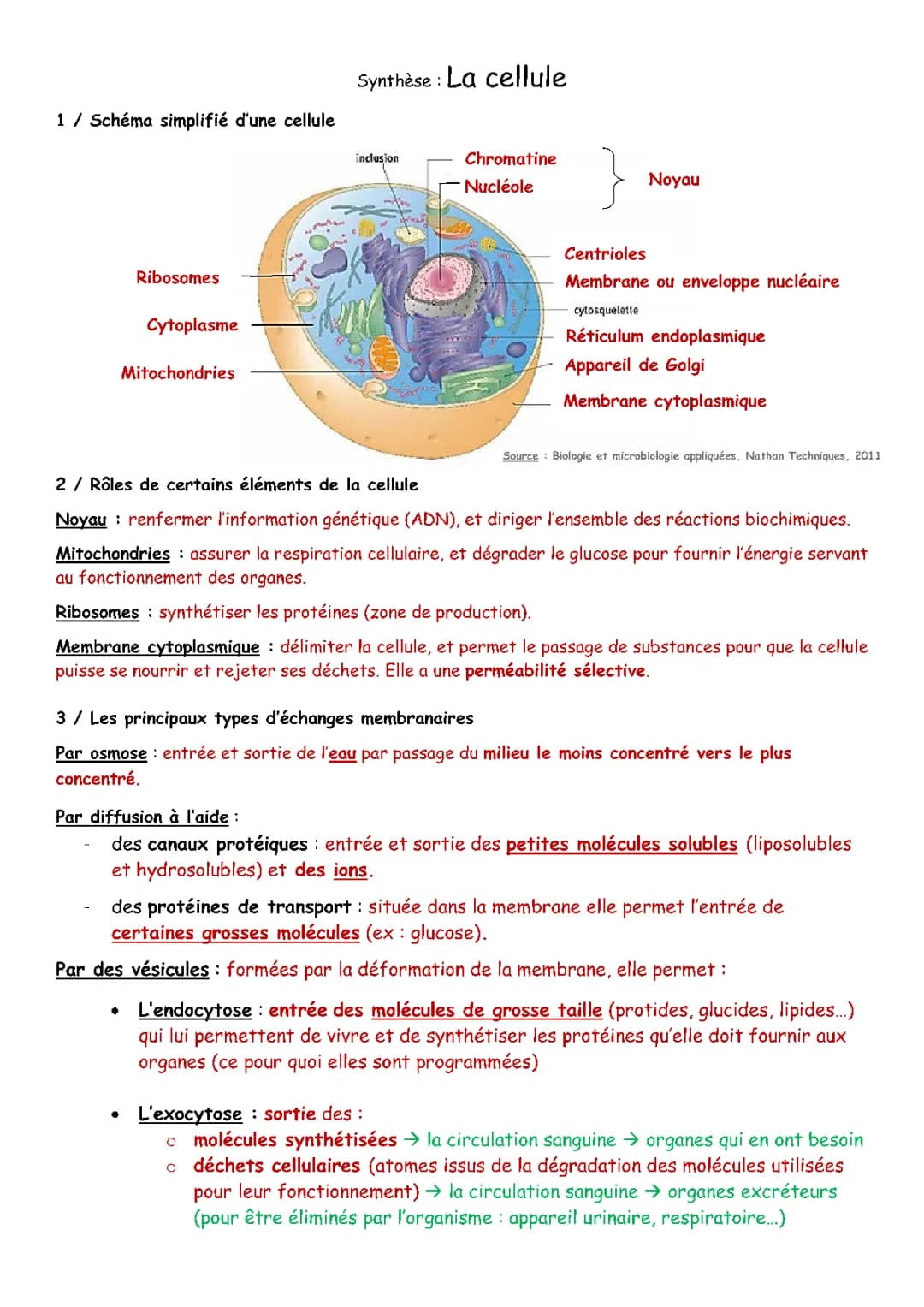 Cours sur la Cellule PDF - Définitions, Fonctions et Mitose