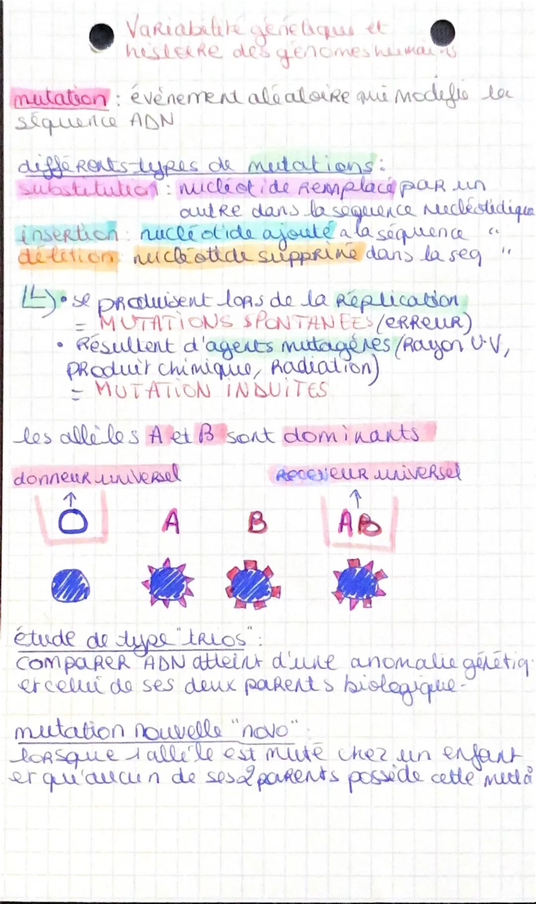 Variabelike genelique et
hisleke des genomes humains
mutation: événement aléatoire que modifie la
séquence ADN
differents types de mutations