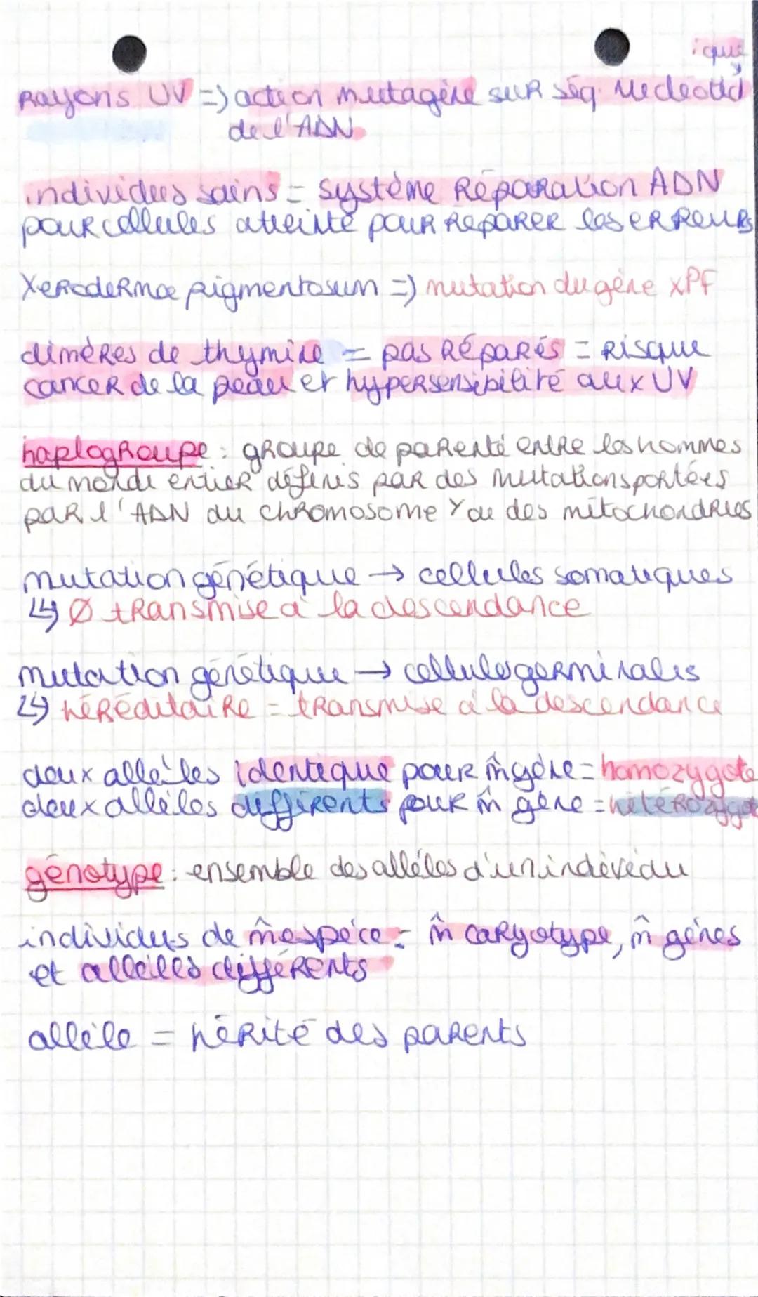 Variabelike genelique et
hisleke des genomes humains
mutation: événement aléatoire que modifie la
séquence ADN
differents types de mutations