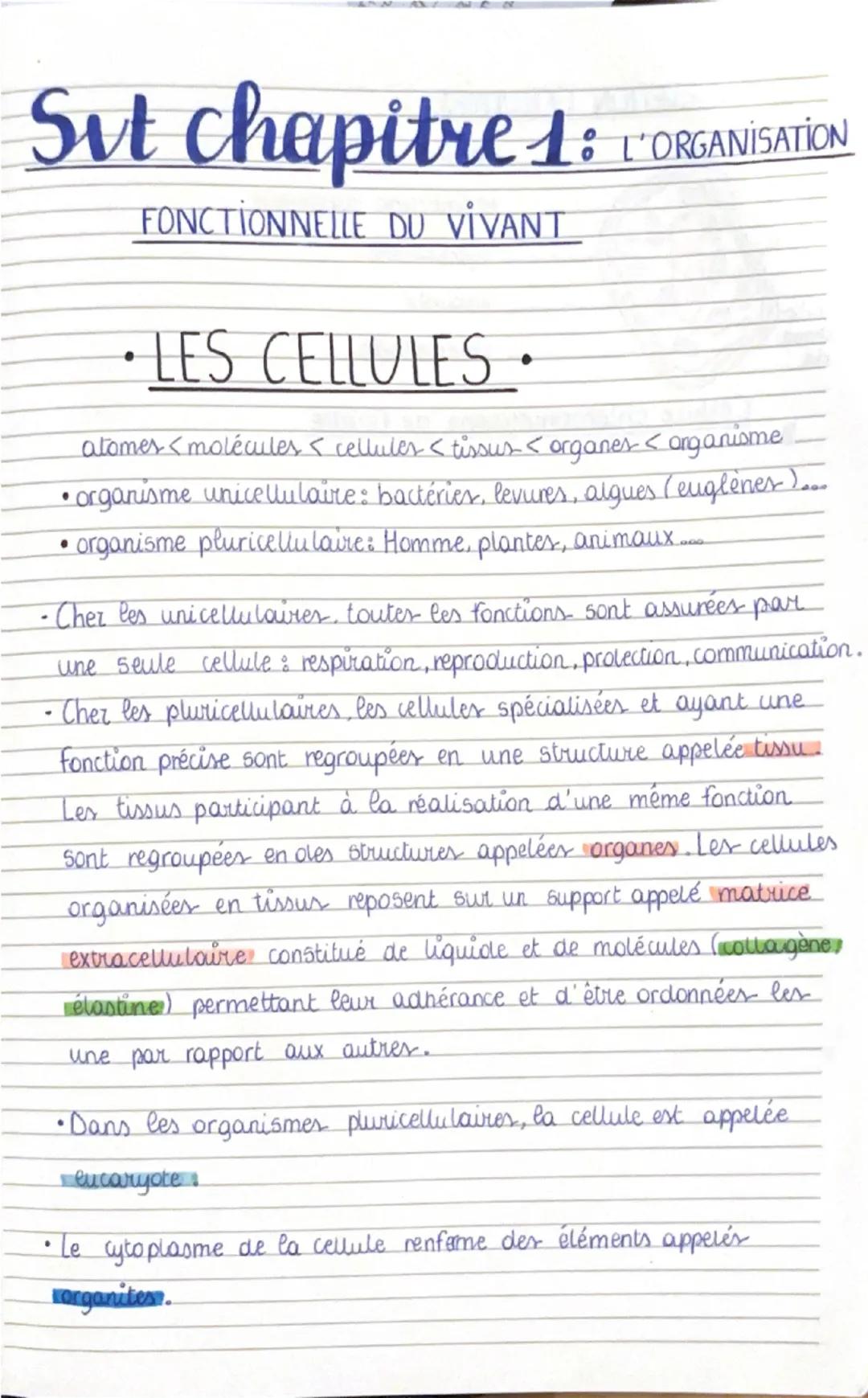 --- OCR Start ---
Svt chapitre 1: L'ORGANISATION
FONCTIONNELLE DU VIVANT
• LES CELLULES.
atomes <molécules < cellules < tissur < organes < o