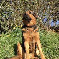 user profile picture