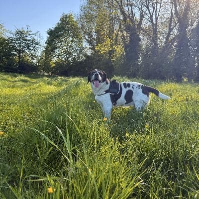 user profile picture