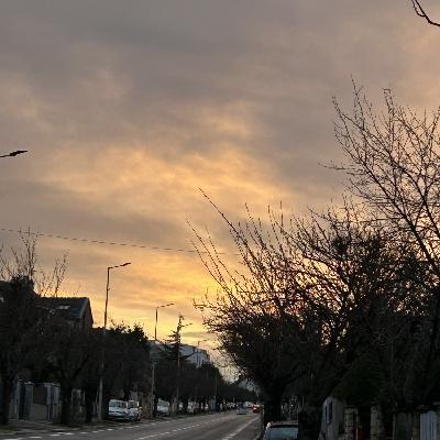 user profile picture