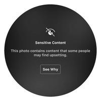 user profile picture