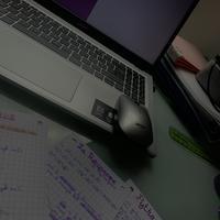 user profile picture