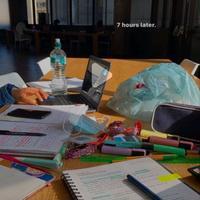 user profile picture