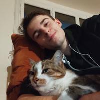 user profile picture