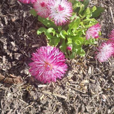 user profile picture