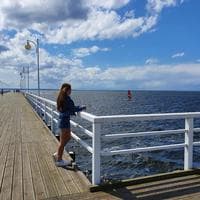 user profile picture