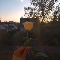 user profile picture