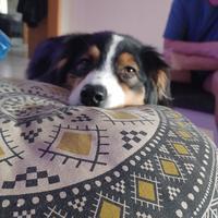 user profile picture