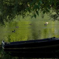 user profile picture