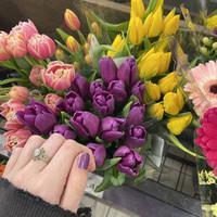 user profile picture