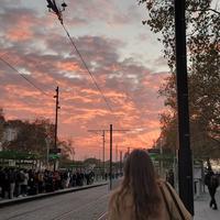 user profile picture