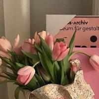 user profile picture