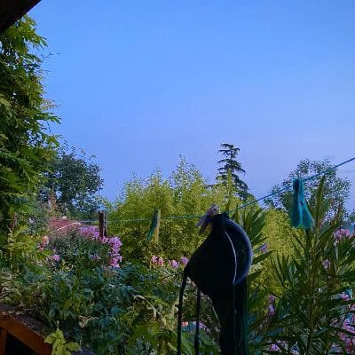 user profile picture
