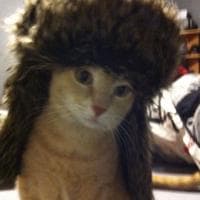 user profile picture